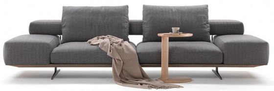 ODM sectionnel confortable superbe de Sofa Ergonomic Living Room Furniture de mousse à haute densité