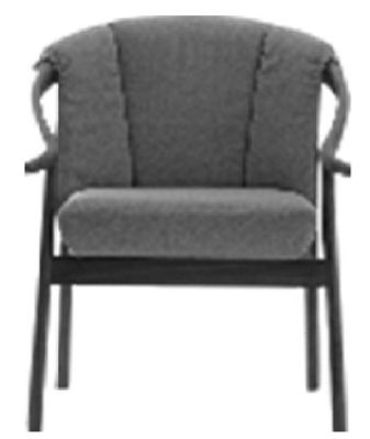 Chaise moderne cinq étoiles de style de style moderne