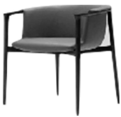 Chaise moderne cinq étoiles de style de style moderne